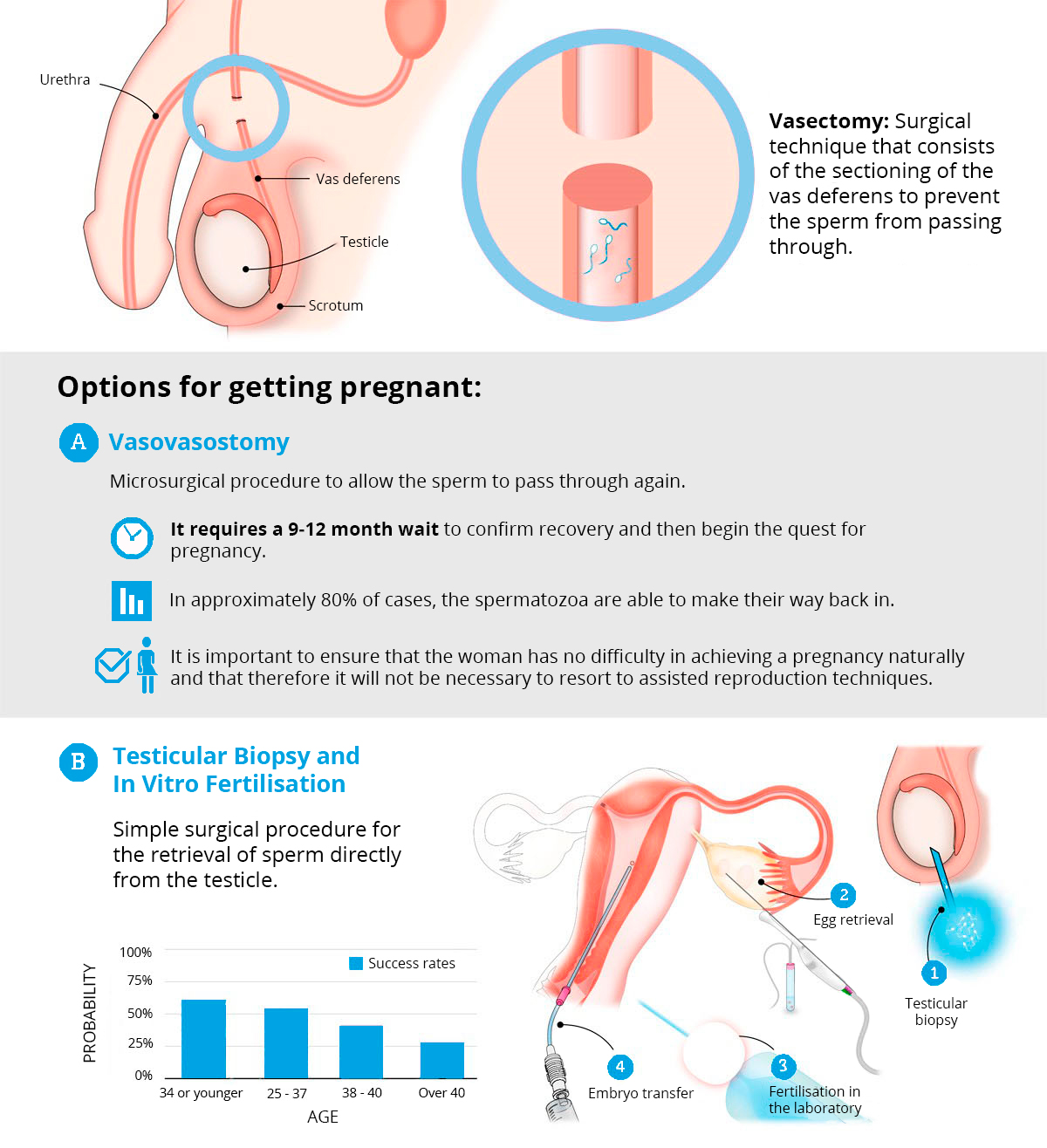 Vasectomy Vasectomy risks: