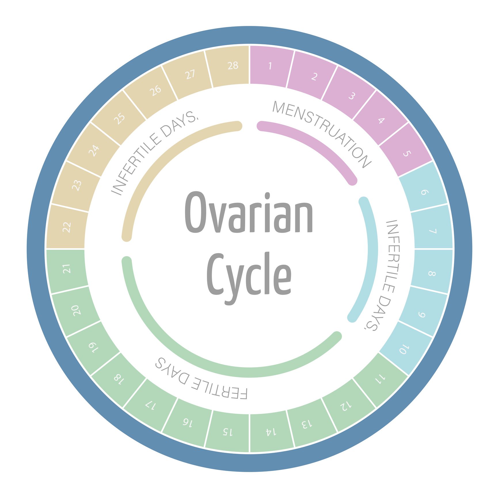 Fertility calculator and chances of getting pregnant according to